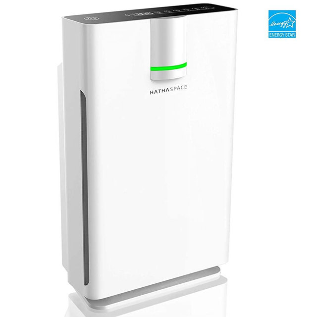 Hathaspace Smart True HEPA Air Purifier 2.0 for Extra-Large Rooms with Medical Grade H13 HEPA Filter, 5-in-1 Home Air Cleaner for Allergies, Asthma, Pets, Odors, Smokers, 1500+ Sq Ft Coverage - HSP002