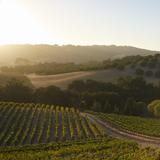 Paso Robles