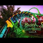 Busch Gardens Tampa Bay