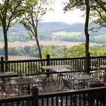 Augusta Wine Country