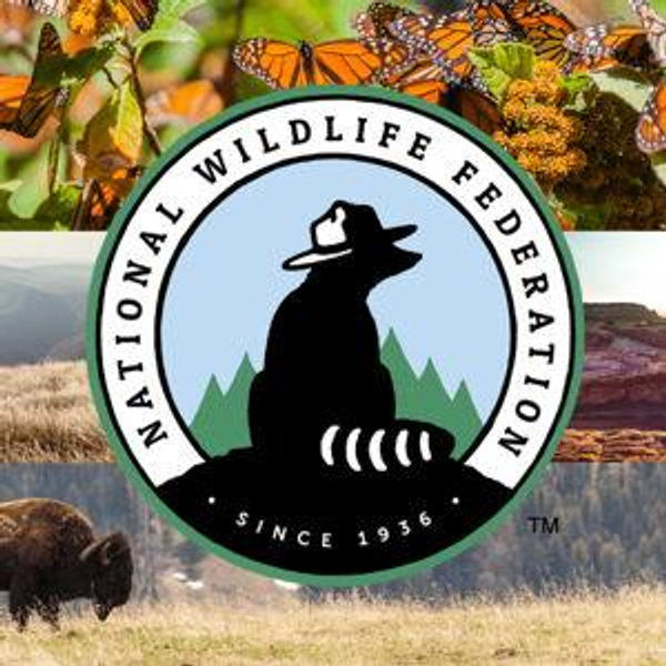Our Favorite Charities: National Wildlife Federation