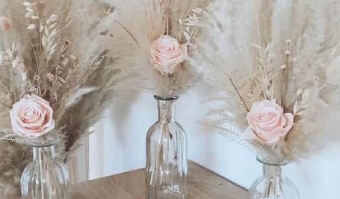 1f4fe43d-d4ce-4490-ae04-dca0ed952418