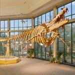 Mississippi Museum of Natural Science