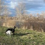 Myer's River View Trail