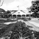 Dole Plantation