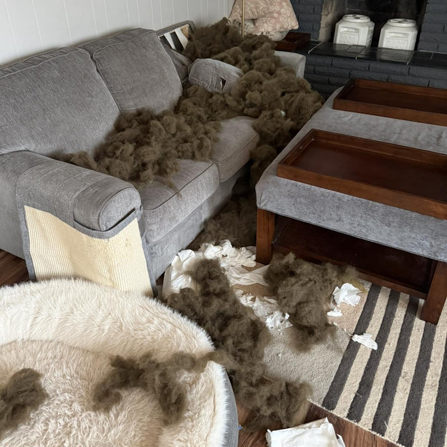 New couch fund!