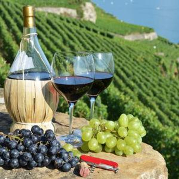 Wine Tasting for 2 in Italy