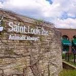 Saint Louis Zoo