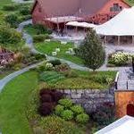 Anyela's Vineyards