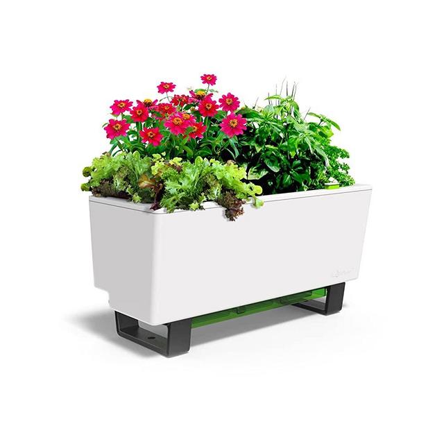 Glowpear Self-Watering Mini Bench Planter