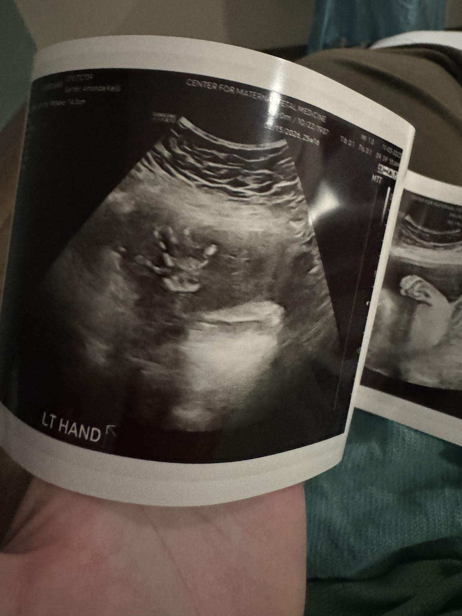 1f58099c-7ac0-464b-8de8-9be677cc13ee