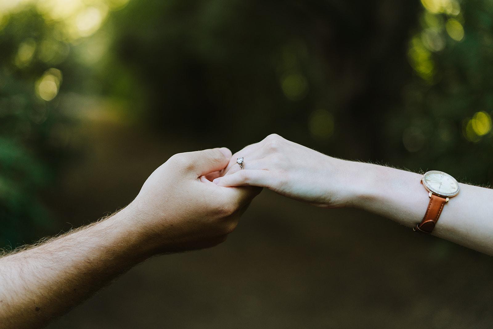 The Wedding Website of Sarah Dieck and Matthew Wells