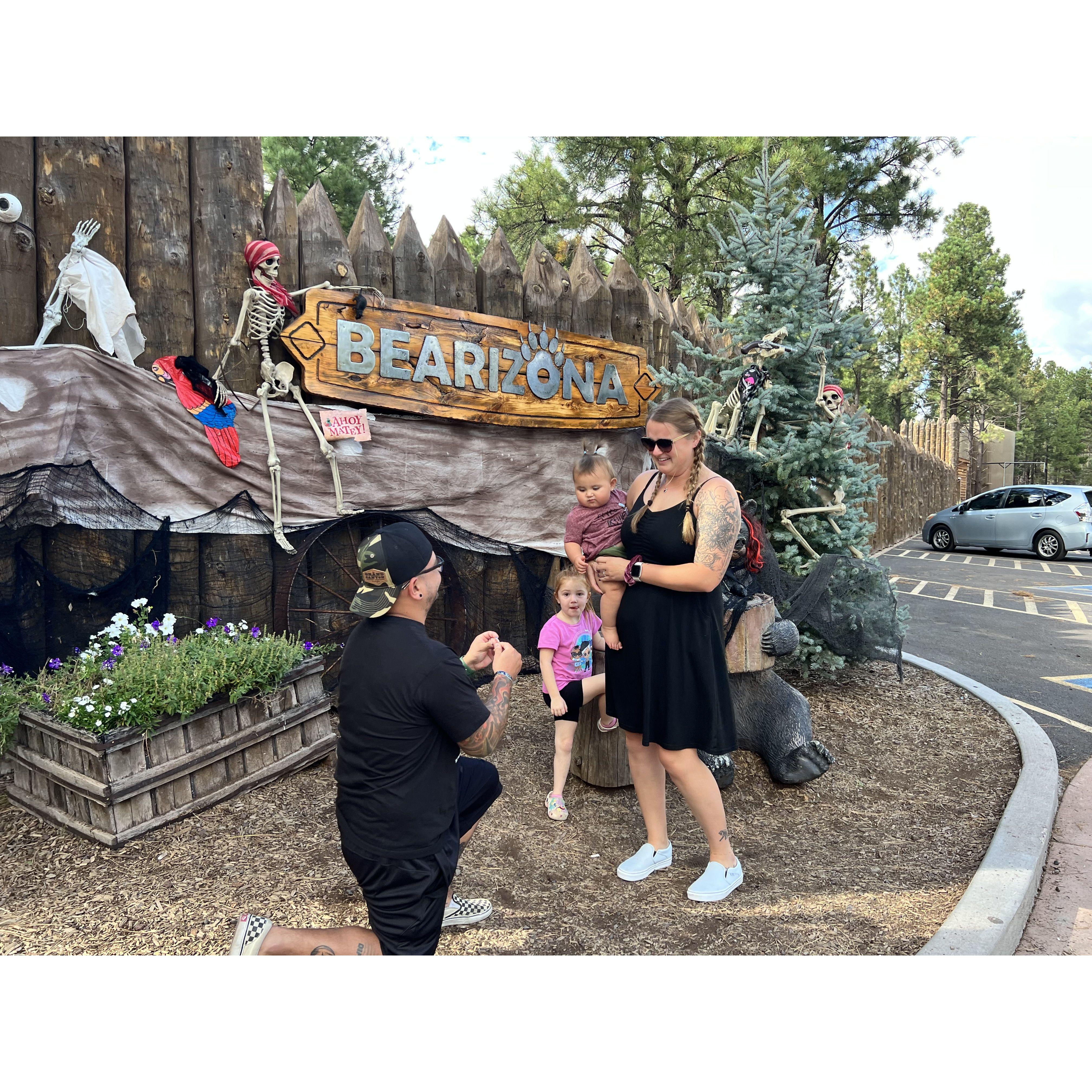 The BIG QUESTION! - Bearizona, AZ - September, 2022