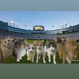 Lambeau Field