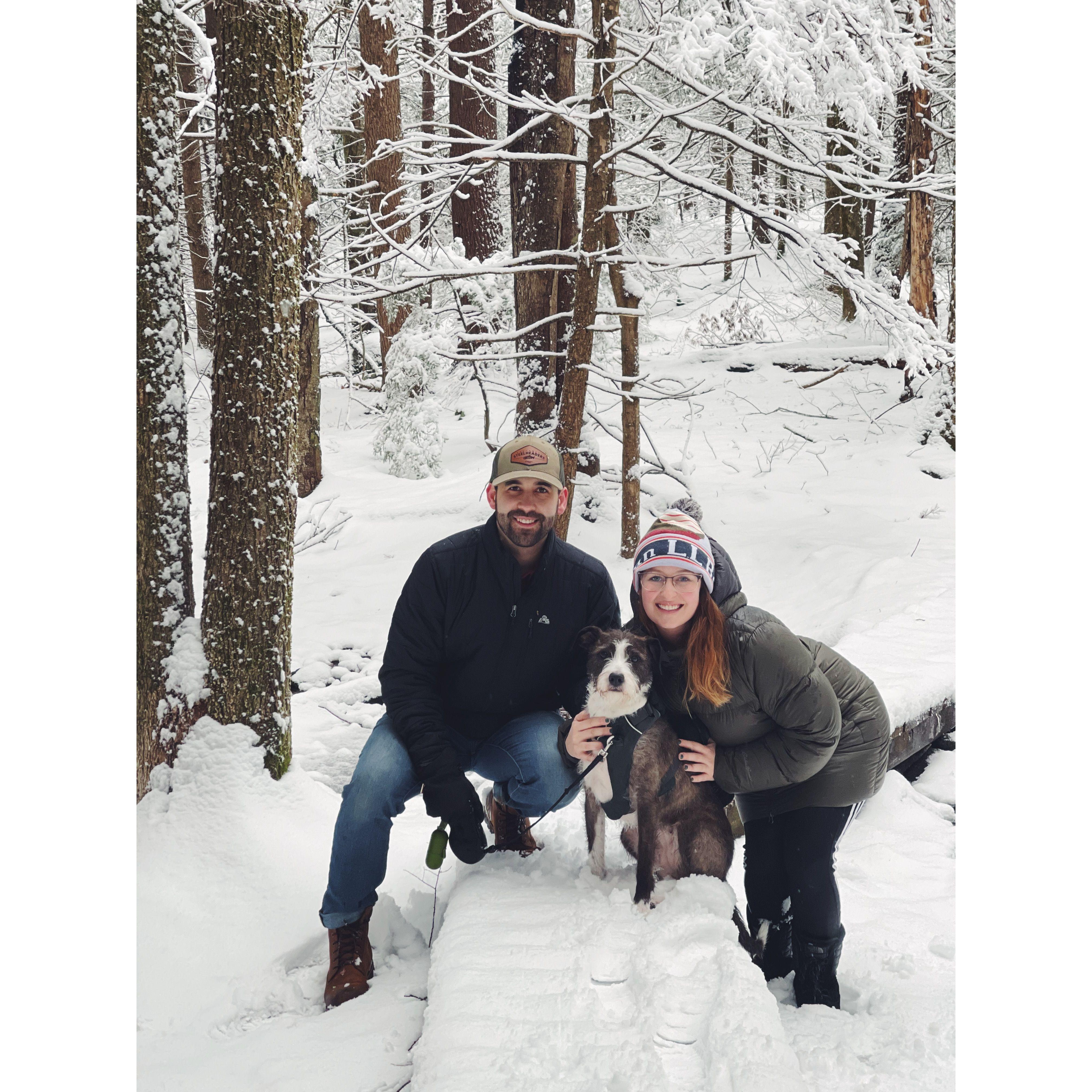 Snowy walks in Newfields NH