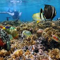 Coastline Tour and Snorkeling for Two on our Honeymoon