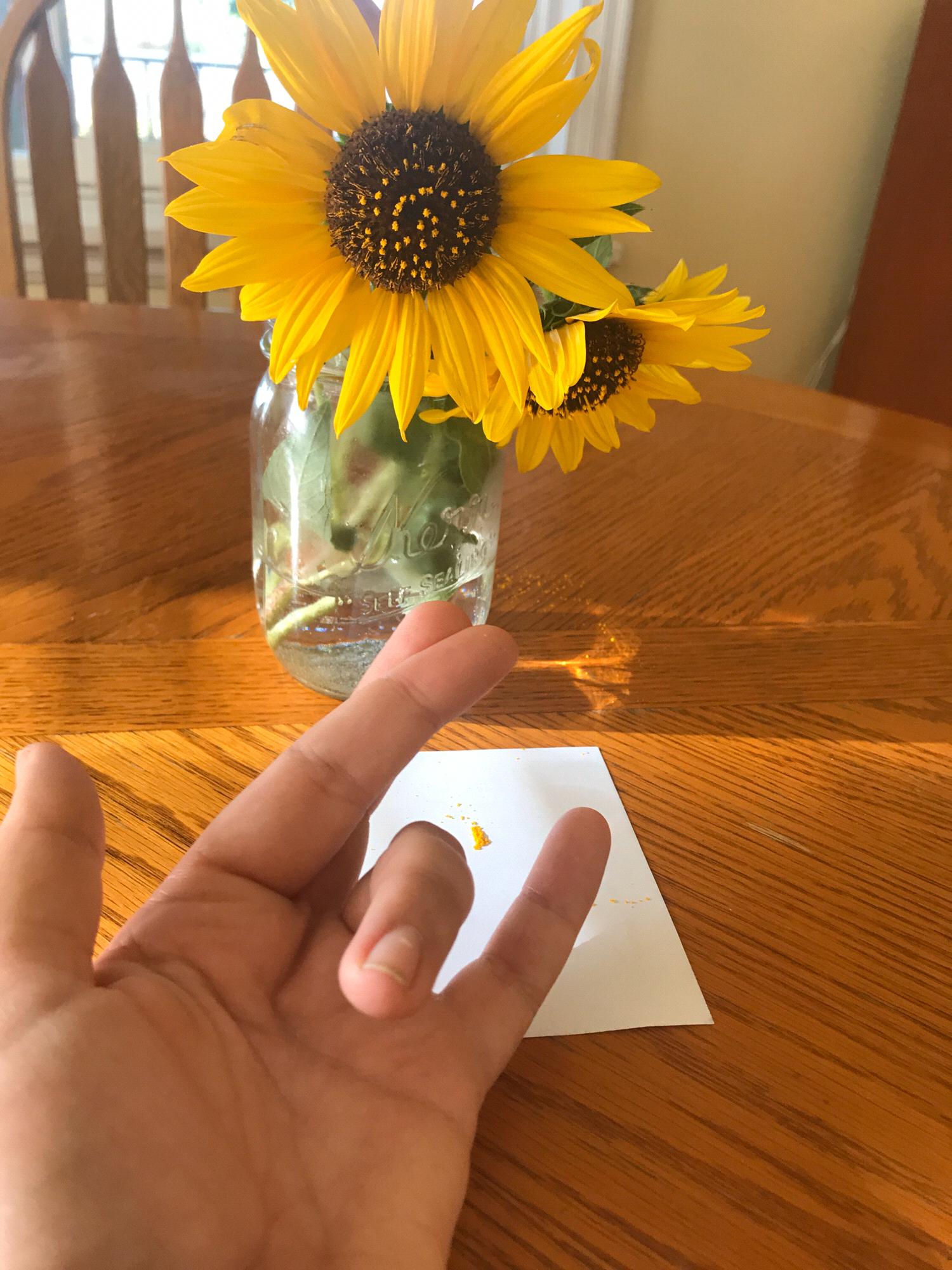 The beautiful flowers Luke picked for me before he left for worship practice Sunday morning.