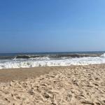 Kirk Park Beach 🏖️