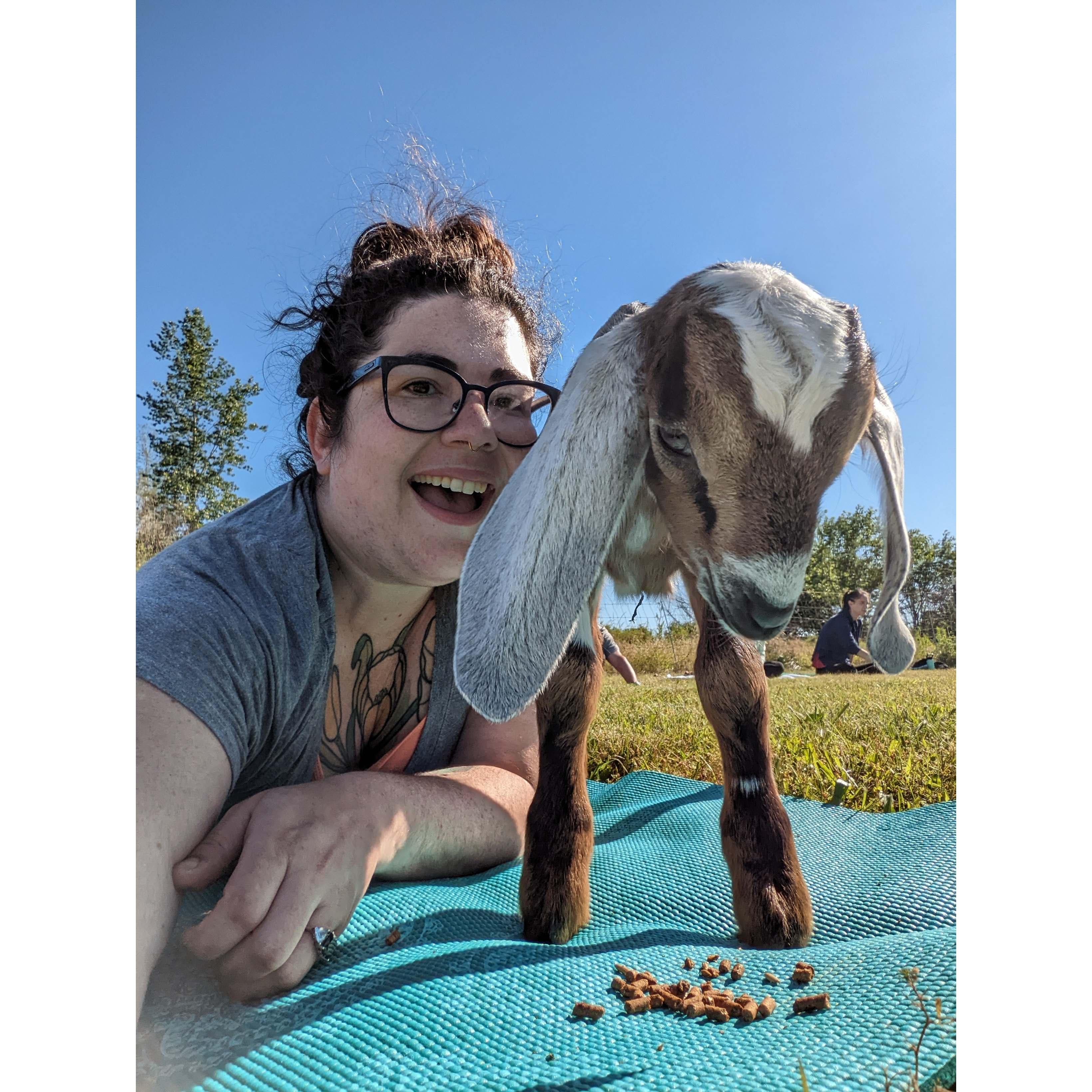 Goat yoga!