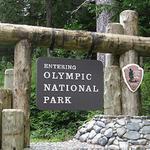 Olympic National Park
