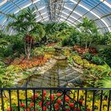 Phipps Conservatory and Botanical Gardens