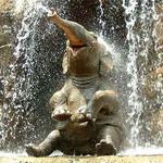 Henry Doorly Zoo