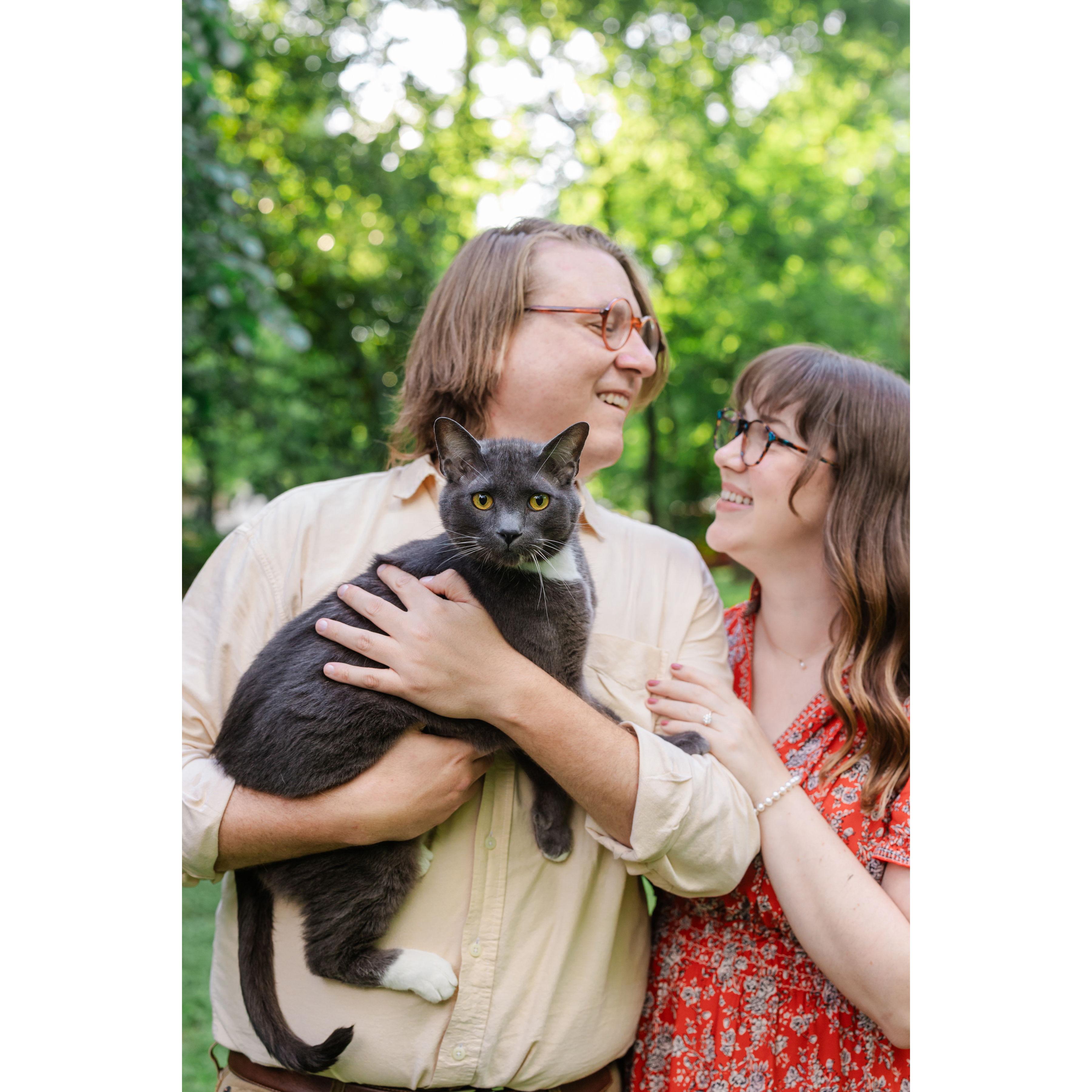 We love our furry babies! This is our handsome cat, Brodie.