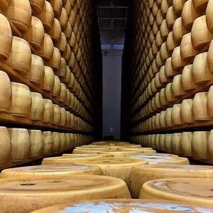 Bologna Food and Wine Tour