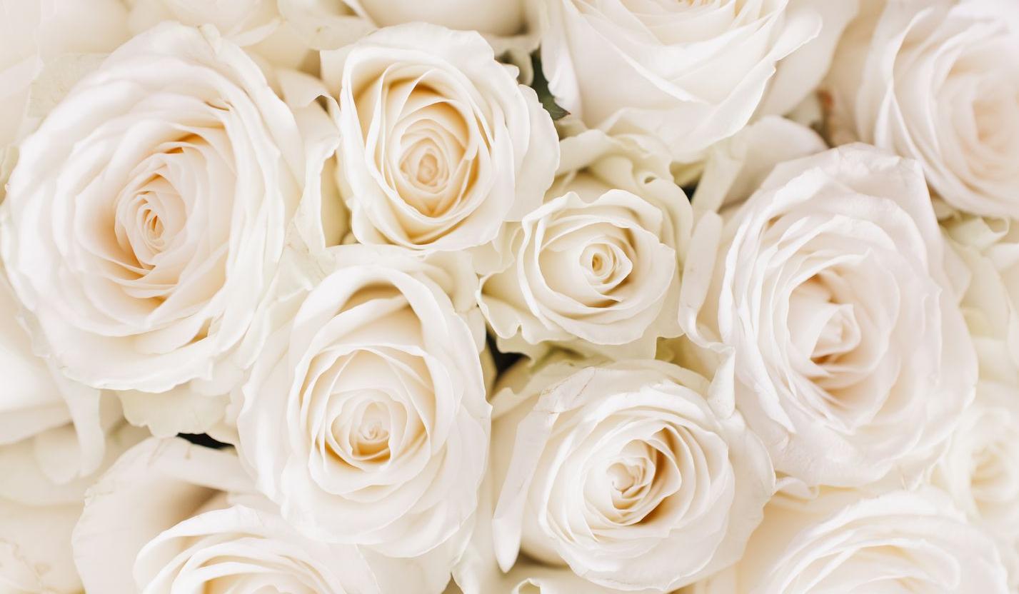 The Wedding Website of Naomi Niño and Emmitt Jimenéz-Herrera