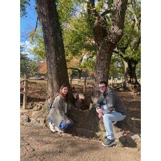 Nara Park Japan