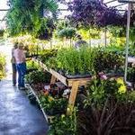 North Carolina State Farmers Public Market