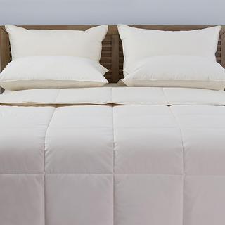 Organic Cotton Down Alternative Comforter