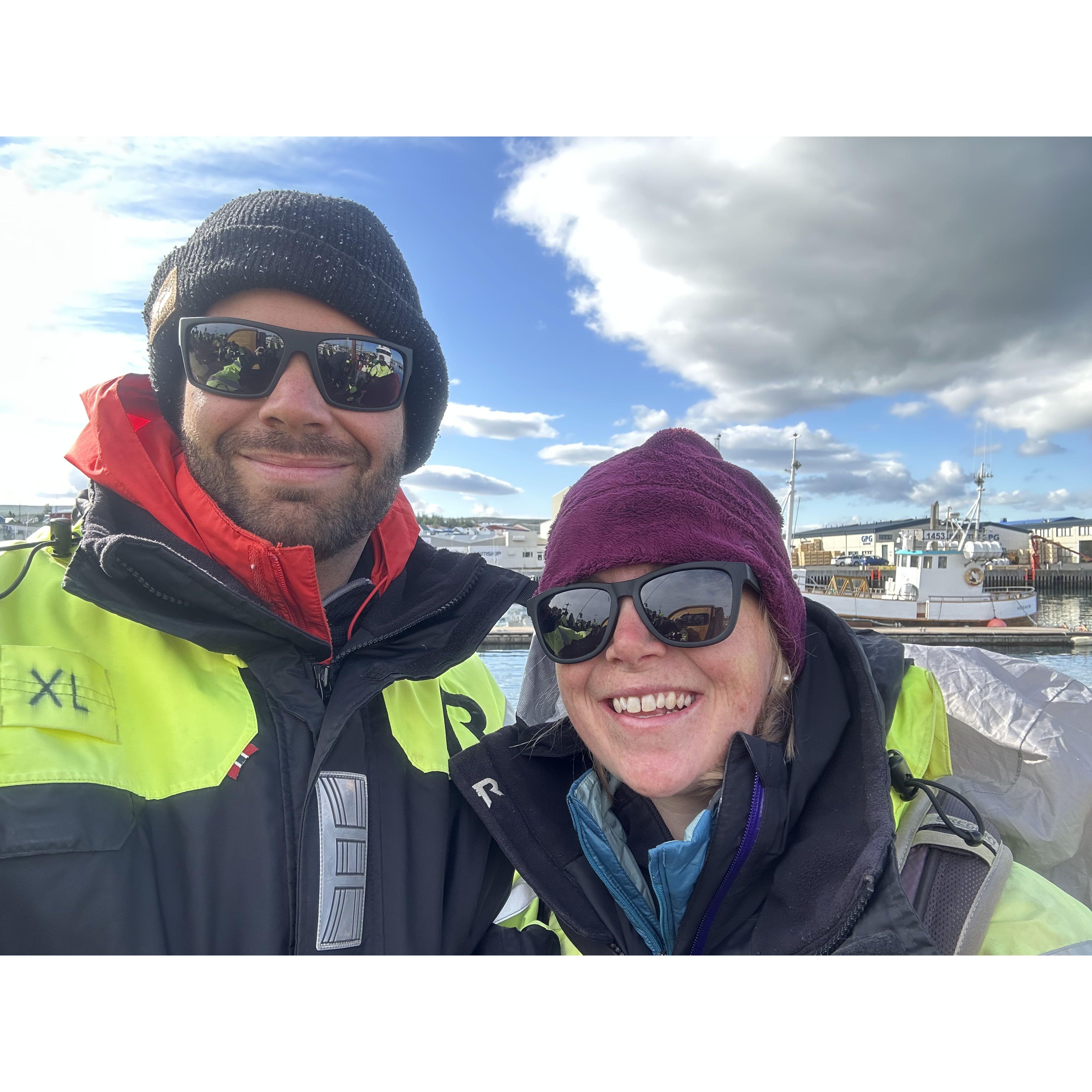 Whale Watching in Iceland