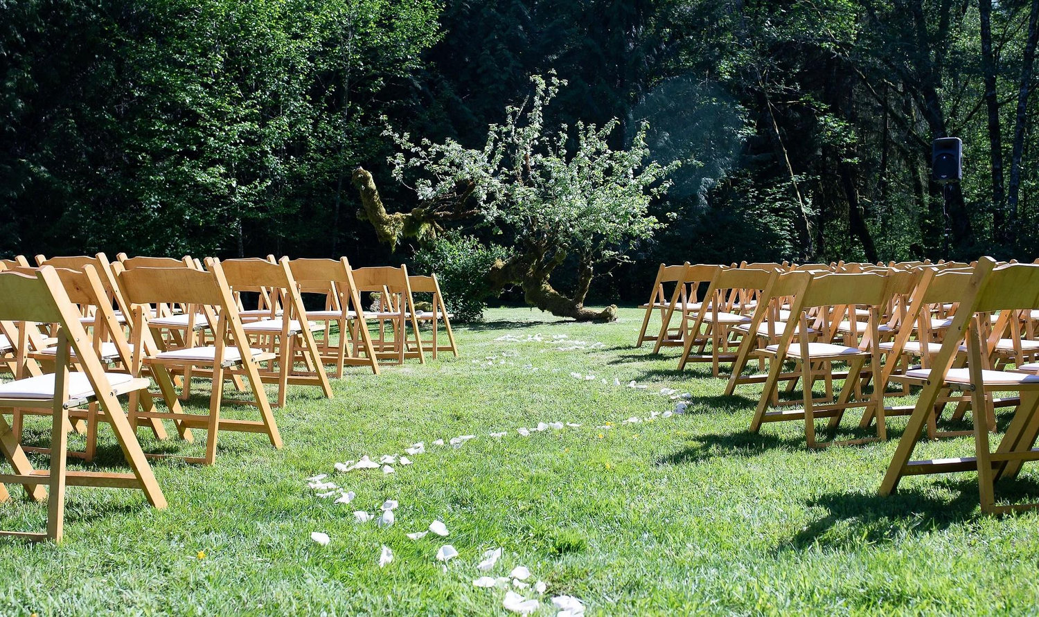 The Wedding Website of Whitney Flinn and Erik Takuichi Wallace