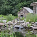 Bowman's Hill Wildflower Preserve