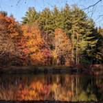 Mount Holyoke Range State Park