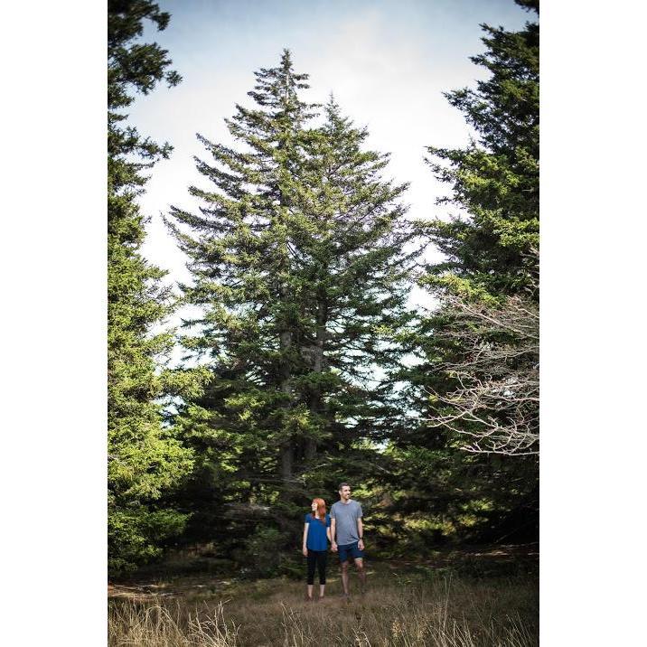 We had the privilege of getting a free engagement photo session at Grayson Highlands State Park - perfection!