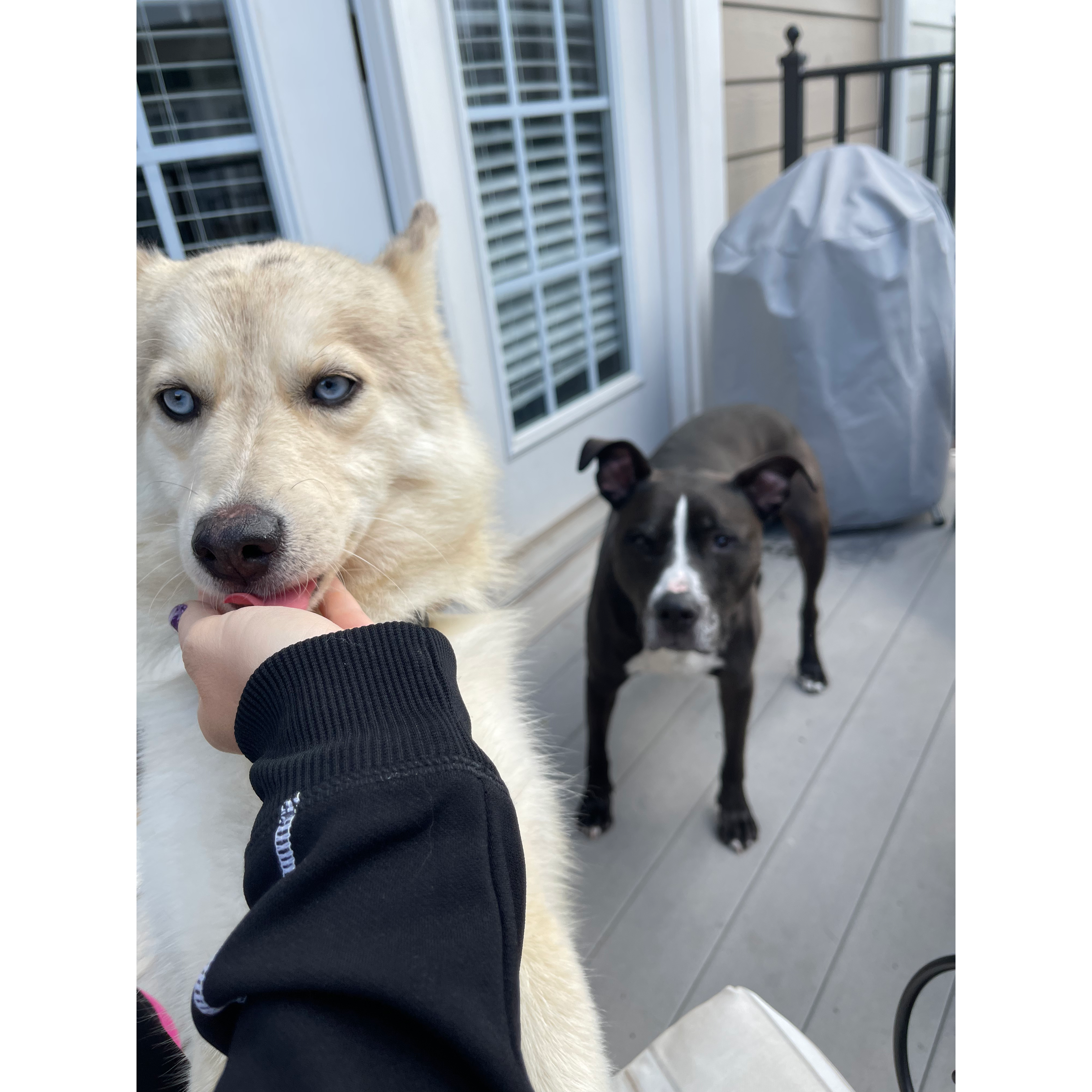 Milo and Minnie