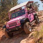 Pink Jeep Tours