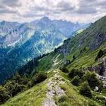 Hiking, Biking, Trails, and More