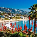 Laguna Beach Tourism Board