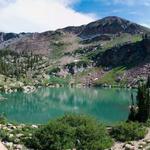 Alta / Albion Basin / Cecret Lake