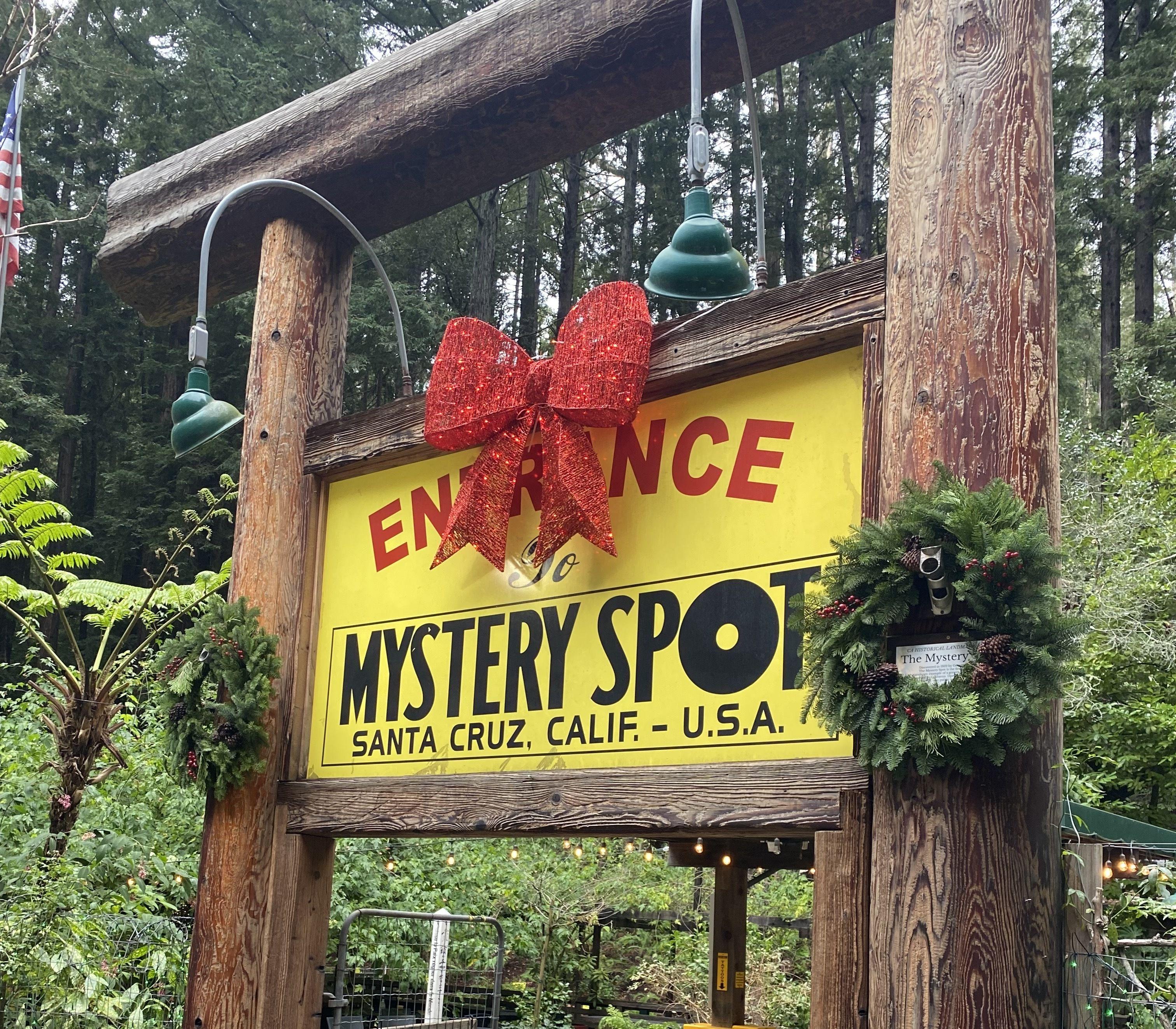 The Wedding Website of Alex Robertson and Ryan Oberlin