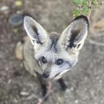 San Diego Zoo