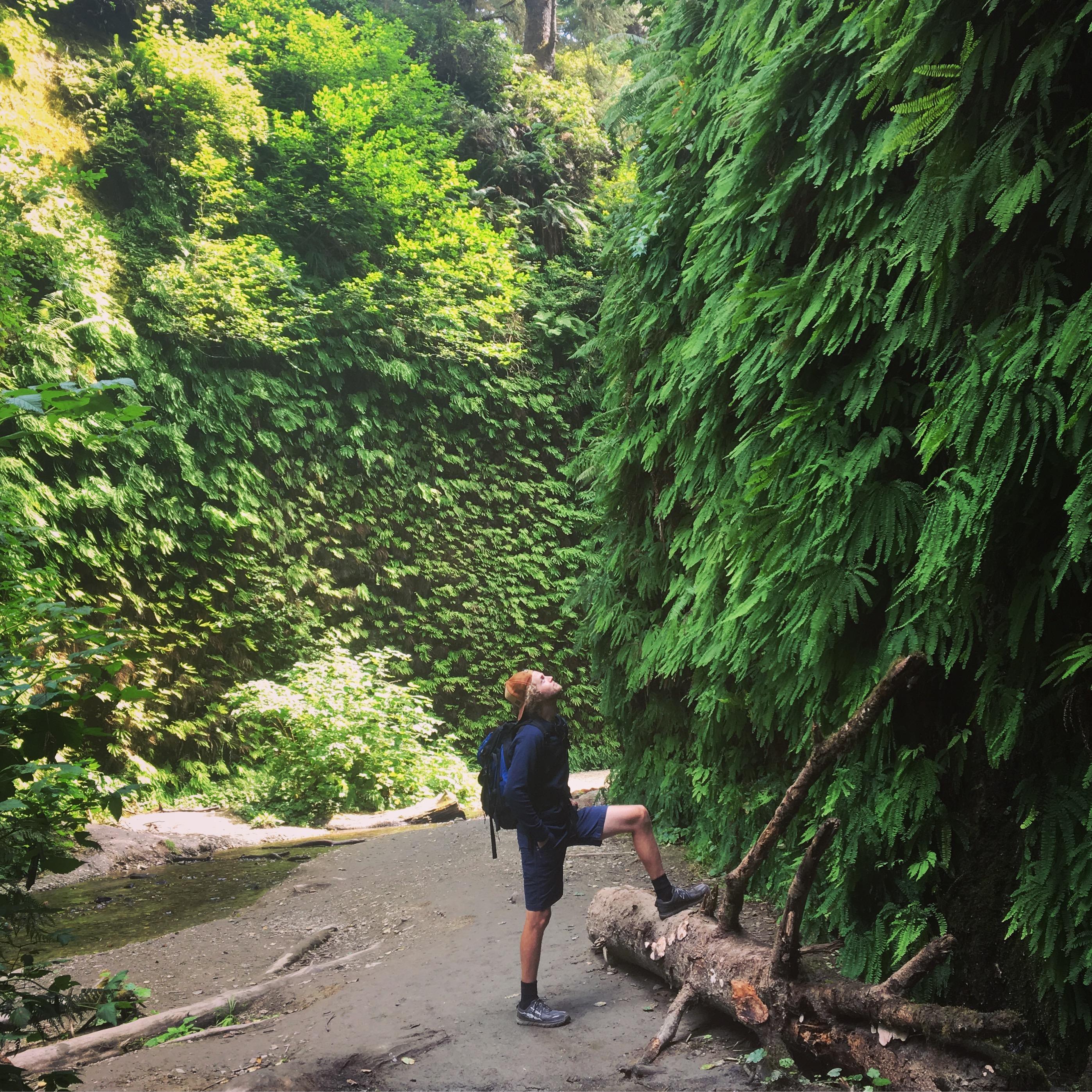 Fern Canyon - 2018