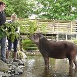 Lake District Wildlife Park