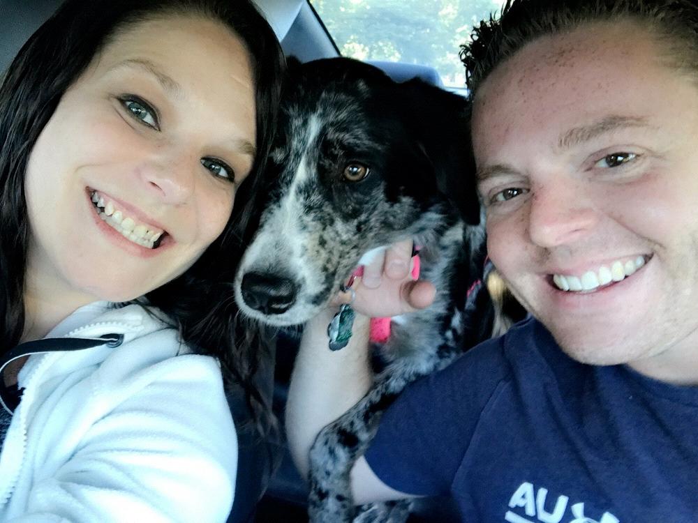 The Wedding Website of Katie David and Brian Koenig