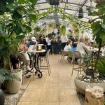 Greenhouse Bar