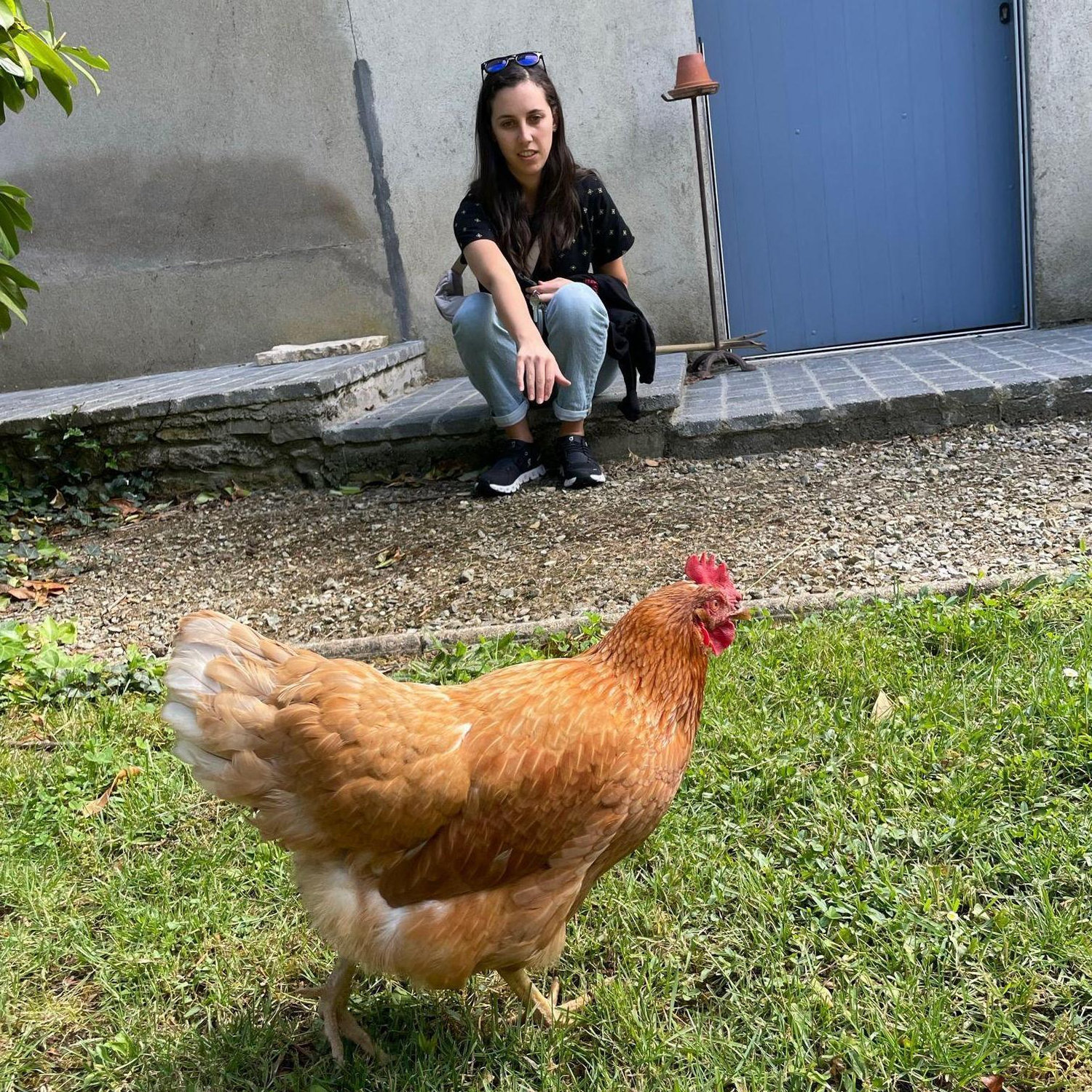 Gertrude