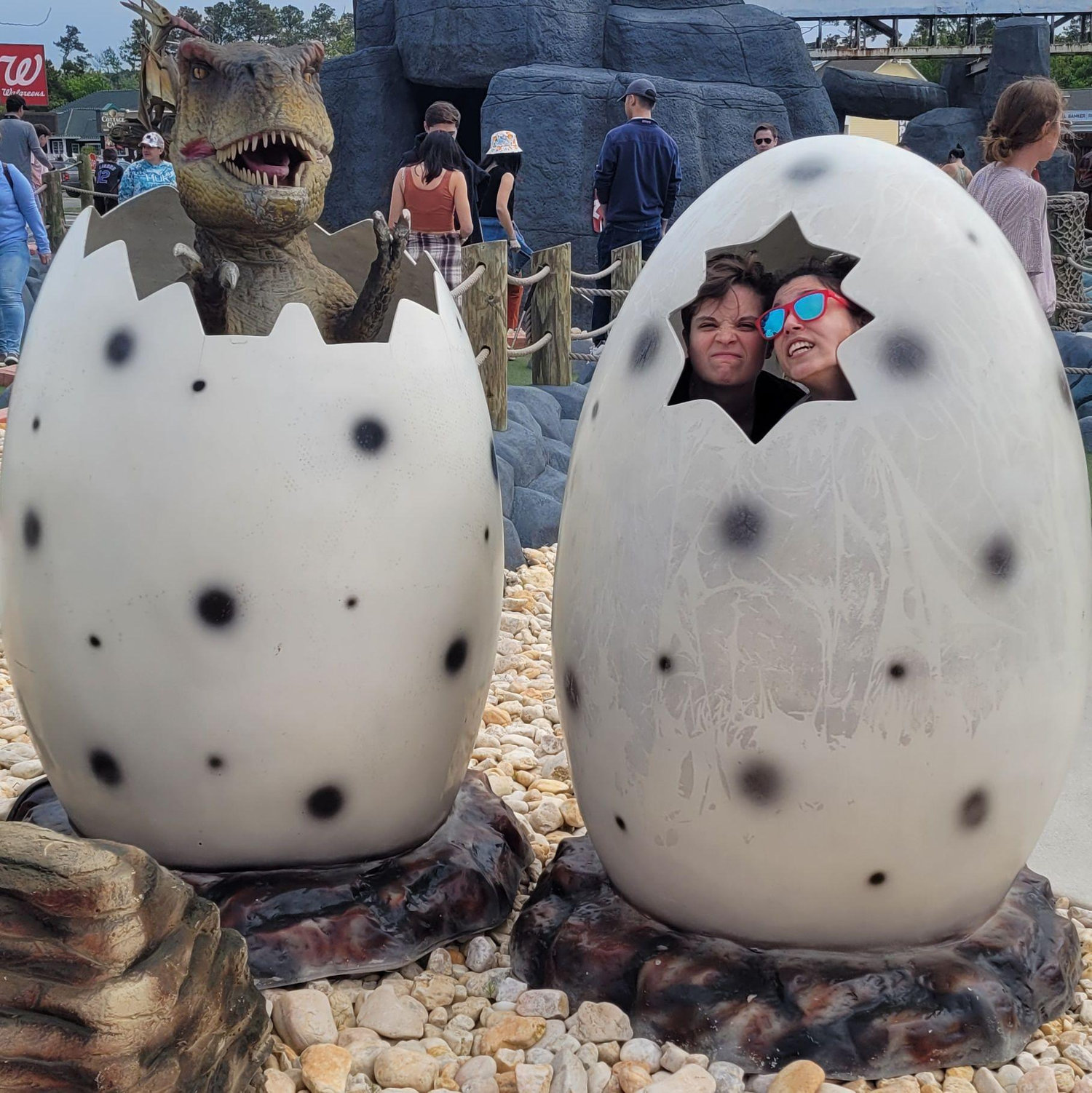 This is us in a nutshell...or, more accurately, a dinosaur egg shell.